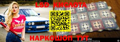 прущие грибы Донецк