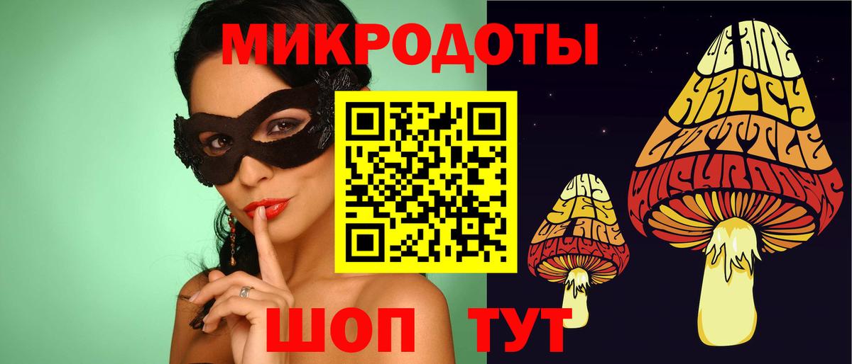 Псилоцибиновые грибы Psilocybine cubensis Дальнегорск
